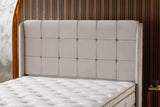 🛏️ Lit Coffre AZBA – Velours Beige + Matelas 30 cm à ressorts